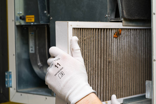 Best Professional Duct Cleaning Services  in Laupahoehoe, HI