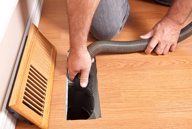 Best Home Air Vent Cleaning  in Laupahoehoe, HI