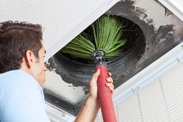 Best Commercial Air Duct Cleaning  in Laupahoehoe, HI